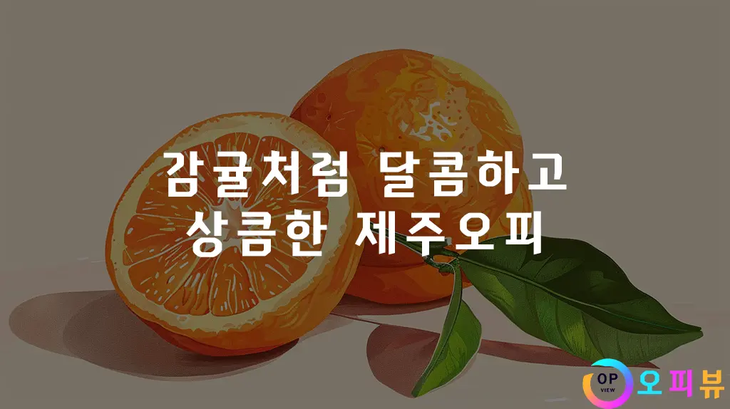 감귤처럼 달콤하고 상큼한 제주오피